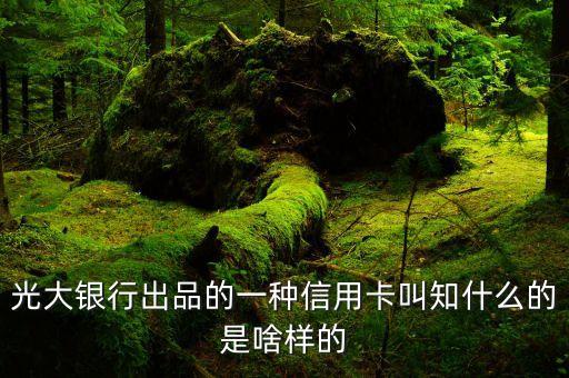 光大银行出品的一种信用卡叫知什么的是啥样的