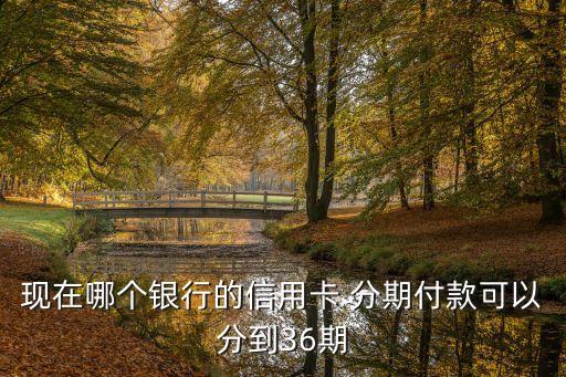 现在哪个银行的信用卡 分期付款可以分到36期