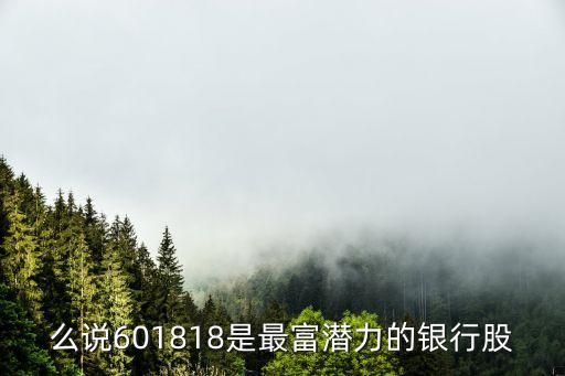 么说601818是最富潜力的银行股