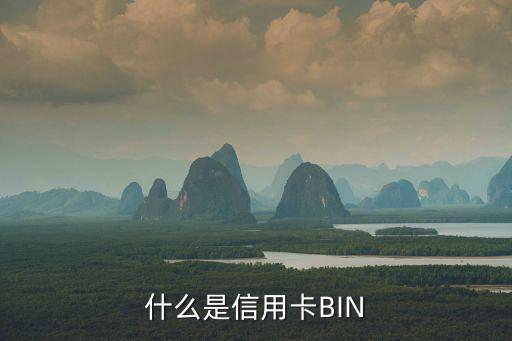 什么是信用卡BIN