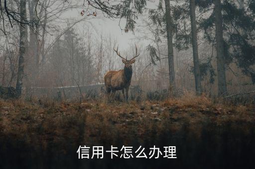 信用卡怎么办理