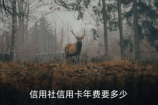 信用社信用卡年费要多少