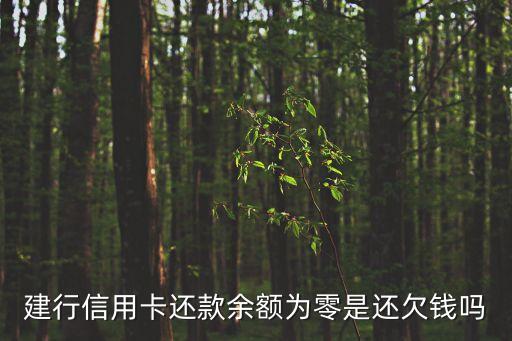 建行信用卡还款余额为零是还欠钱吗