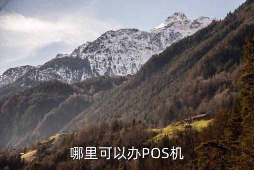 哪里可以办POS机