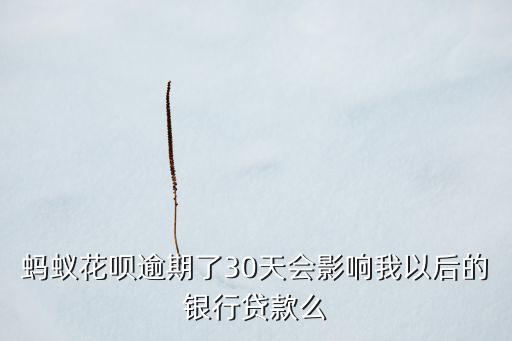 蚂蚁花呗逾期了30天会影响我以后的银行贷款么