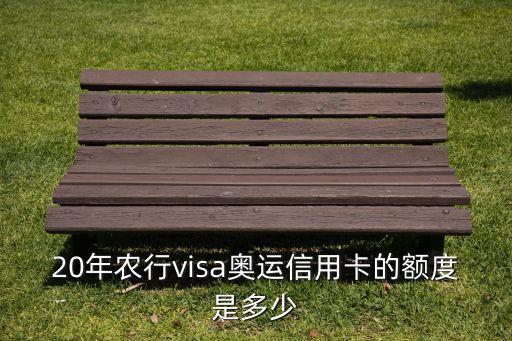 20年农行visa奥运信用卡的额度是多少