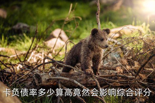 卡负债率多少算高竟然会影响综合评分