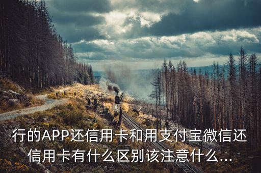 行的APP还信用卡和用支付宝微信还信用卡有什么区别该注意什么...