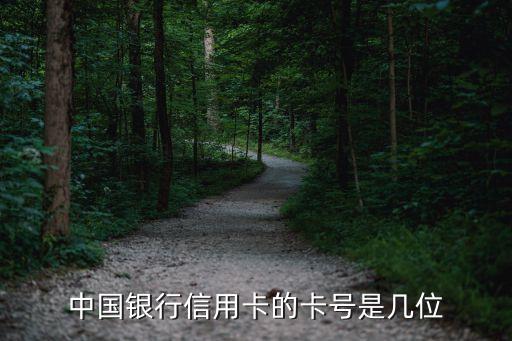 中国银行信用卡的卡号是几位