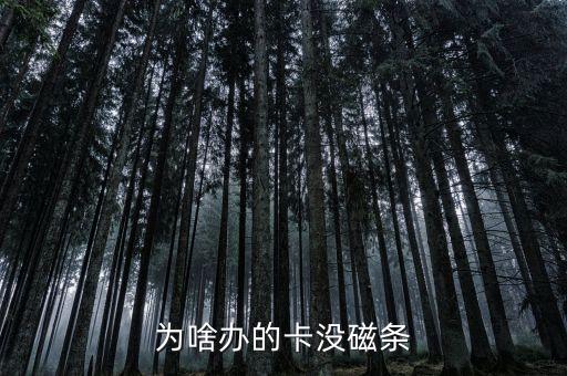 为啥办的卡没磁条