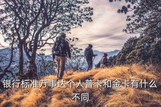 银行标准万事达个人普卡和金卡有什么不同