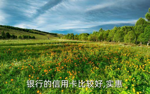 银行的信用卡比较好,实惠