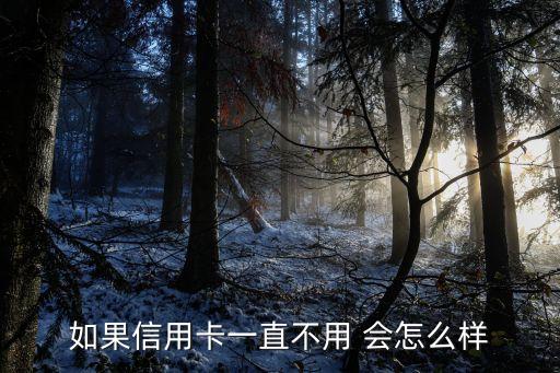 如果信用卡一直不用 会怎么样