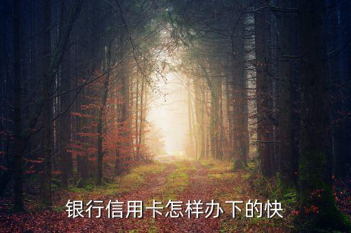 银行信用卡怎样办下的快