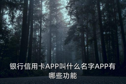 怎样下载平安银行信用卡app,如何注销平安银行的信用卡