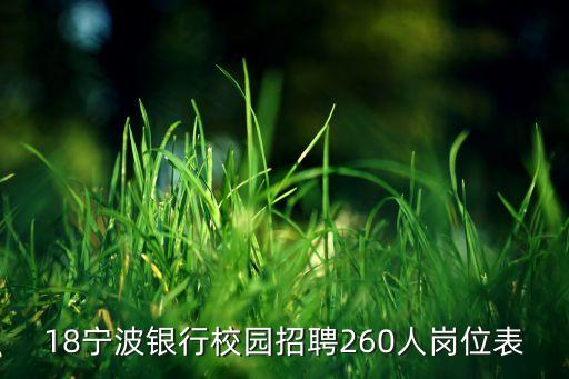 18宁波银行校园招聘260人岗位表