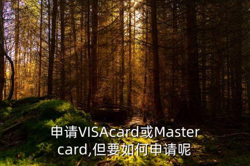 申请VISAcard或Mastercard,但要如何申请呢