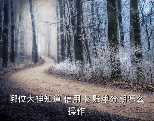 哪位大神知道 信用卡 账单分期怎么操作