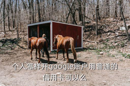 个人怎样开google账户用普通的信用卡可以么