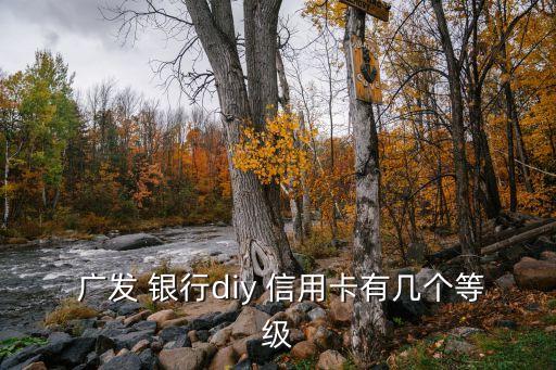  广发 银行diy 信用卡有几个等级