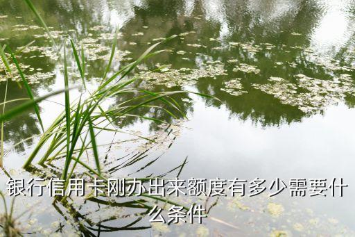 银行信用卡刚办出来额度有多少需要什么条件