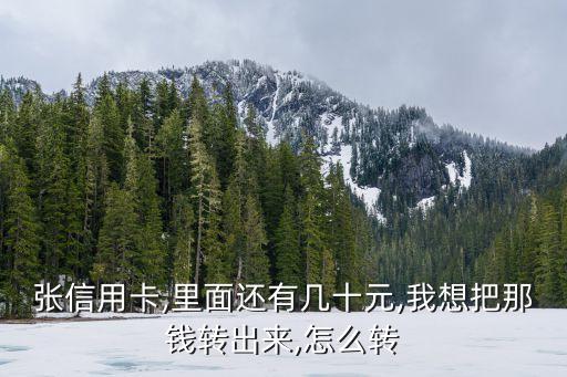 怎样从信用卡把额度转出来,信用卡额度怎么转