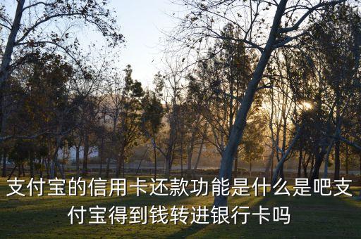 支付宝的信用卡还款功能是什么是吧支付宝得到钱转进银行卡吗