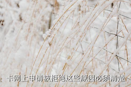卡网上申请被拒绝这些原因必须清楚
