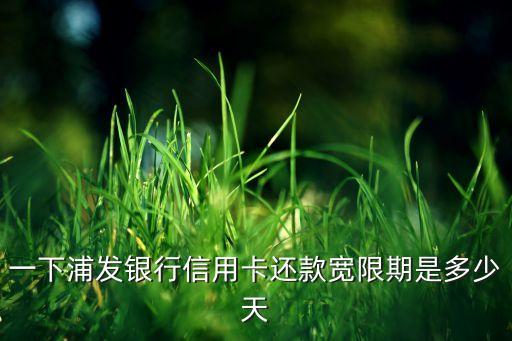 一下浦发银行信用卡还款宽限期是多少天