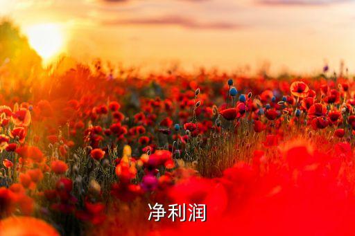 净利润