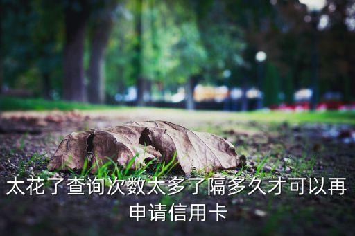 太花了查询次数太多了隔多久才可以再申请信用卡