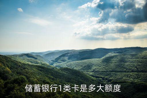 储蓄银行1类卡是多大额度