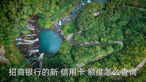 招商银行的新 信用卡 额度怎么查询
