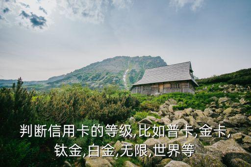 信用卡申请等级排行怎么看,你怎么看信用卡申请额度