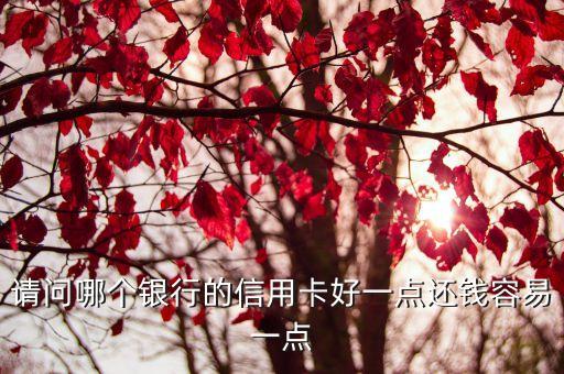 请问哪个银行的信用卡好一点还钱容易一点