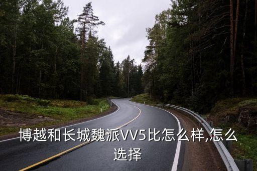 博越和长城魏派VV5比怎么样,怎么选择