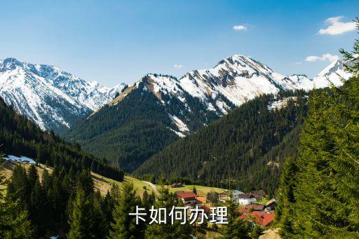 卡如何办理