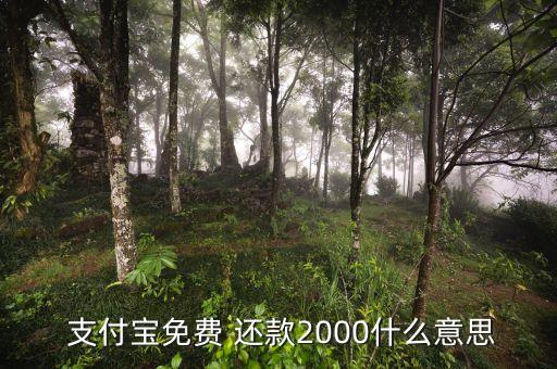  支付宝免费 还款2000什么意思