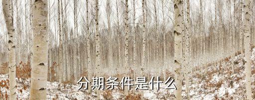 分期条件是什么