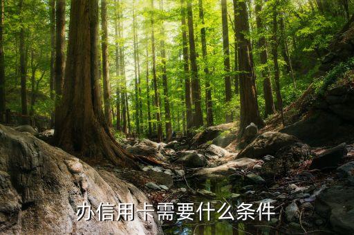 办信用卡需要什么条件