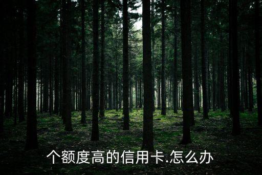 个额度高的信用卡.怎么办