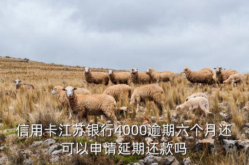 信用卡江苏银行4000逾期六个月还可以申请延期还款吗