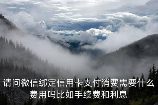 腾讯微加信用卡有什么费用，请问微信绑定信用卡支付消费需要什么费用吗比如手续费和利息