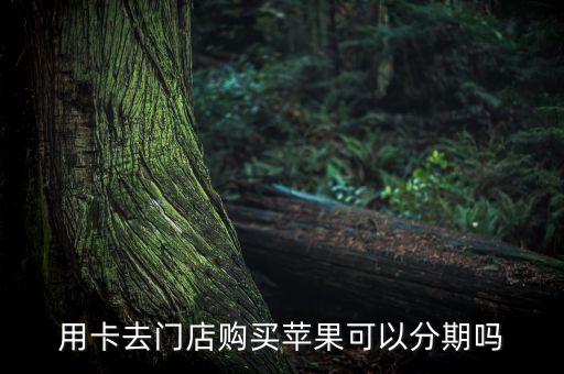 用卡去门店购买苹果可以分期吗