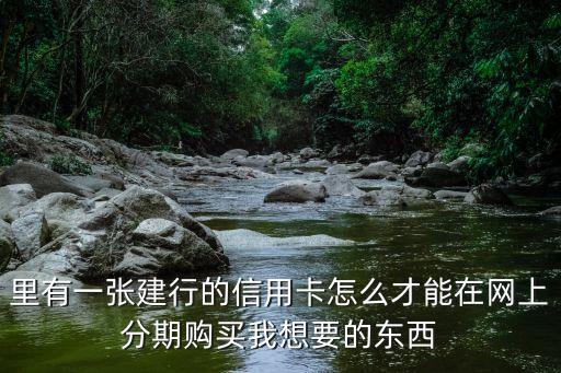 里有一张建行的信用卡怎么才能在网上分期购买我想要的东西