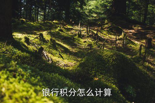 银行积分怎么计算