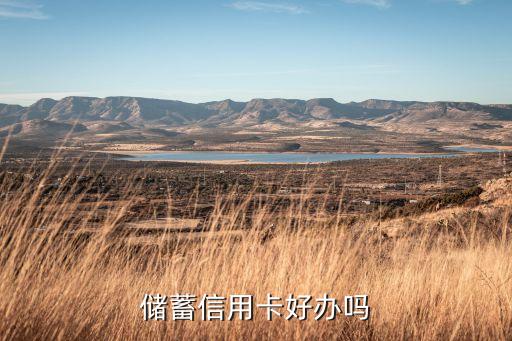 储蓄信用卡好办吗