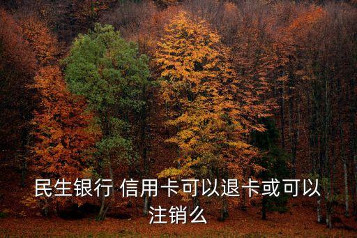 民生银行 信用卡可以退卡或可以 注销么