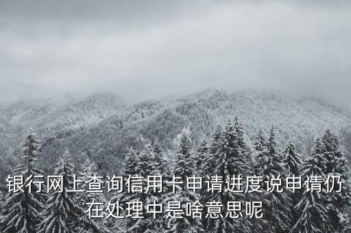 银行网上查询信用卡申请进度说申请仍在处理中是啥意思呢