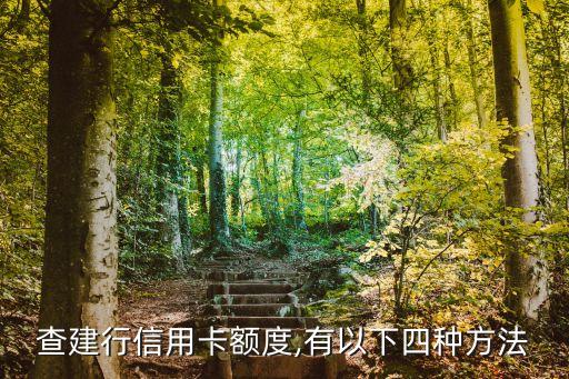 查建行信用卡额度,有以下四种方法
